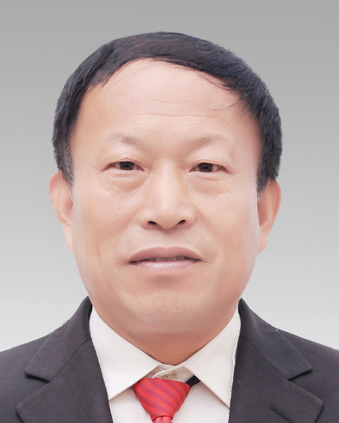 萧县黄口镇人大主席团主席张全玲同志简介