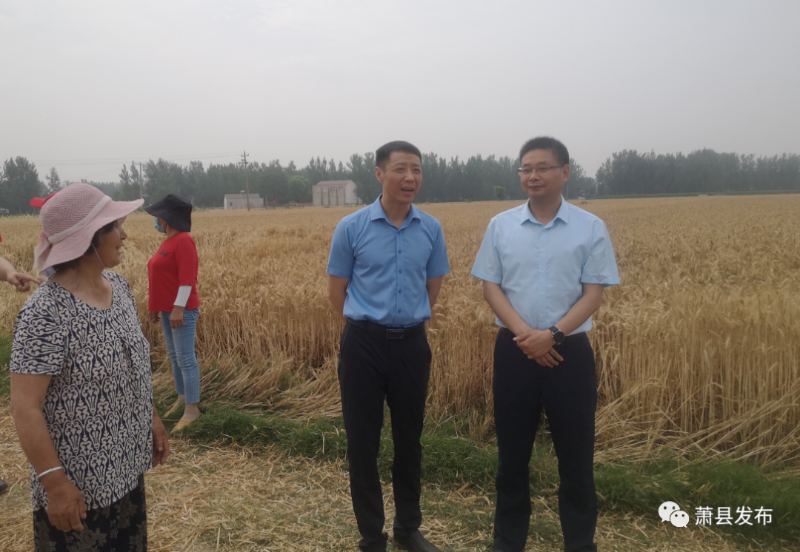 当前位置:>首页>萧县动态>政务要闻> 在杜楼镇红庙村和马阁村,黄韡在