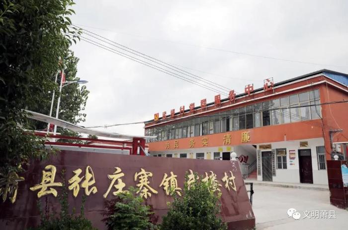 张庄寨镇武楼村:为村庄按下"美颜键"_萧县人民政府