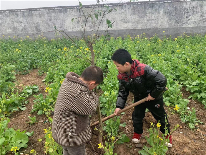 永堌镇王山窝小学许岗子教学点开展植树节系列教育活动 萧县人民政府