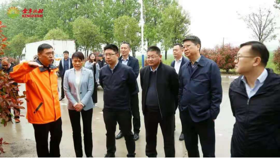 农业农村部合作经济指导司到我县调研农业社会化服务工作_萧县人民