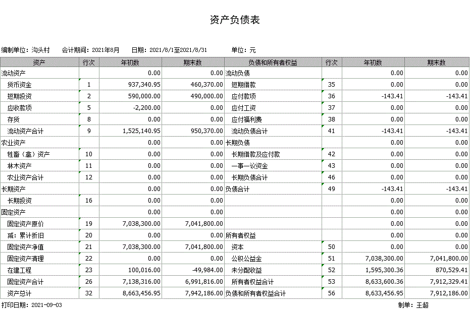新庄镇沟头行政村2021年度18月份资产负债表