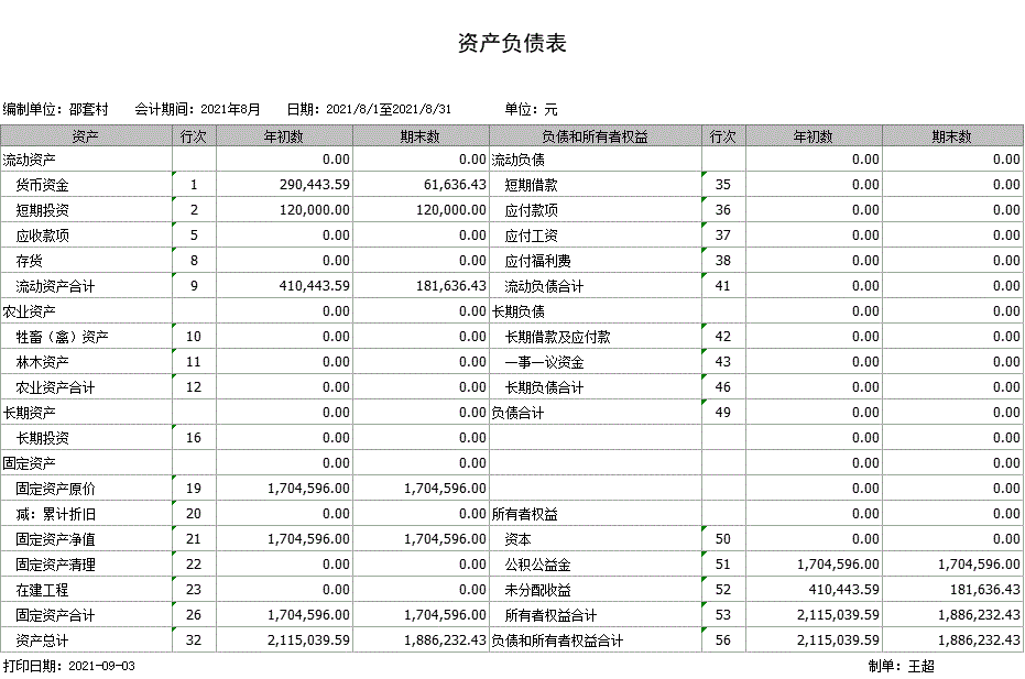 新庄镇邵套行政村2021年度18月份资产负债表