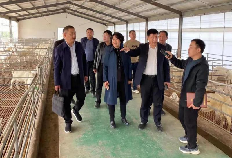 近日 新庄镇 白土镇 永堌镇做了这些工作 萧县人民政府