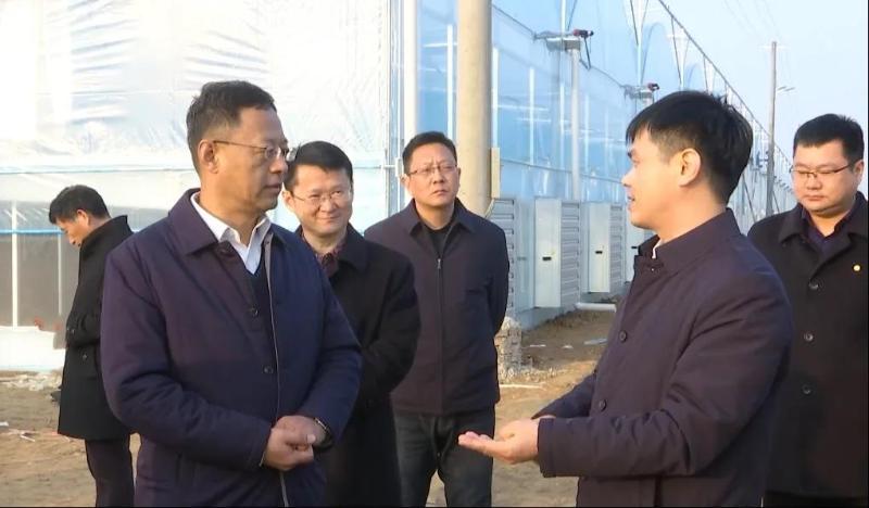 张宝江调研我县乡村振兴村党组织领办合作社等工作