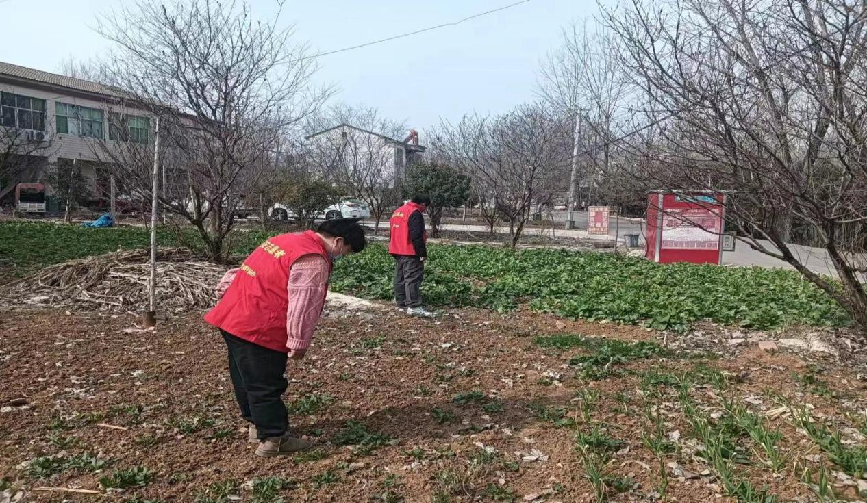 应对情况社会安全类萧县官桥镇开展春季罂粟踏查消除毒品祸害活动