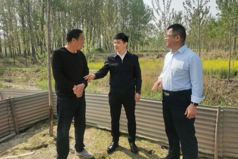 朱新华督导调研生态环境问题整改工作